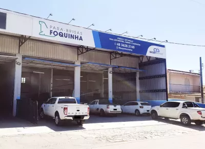 foquinha tubarão